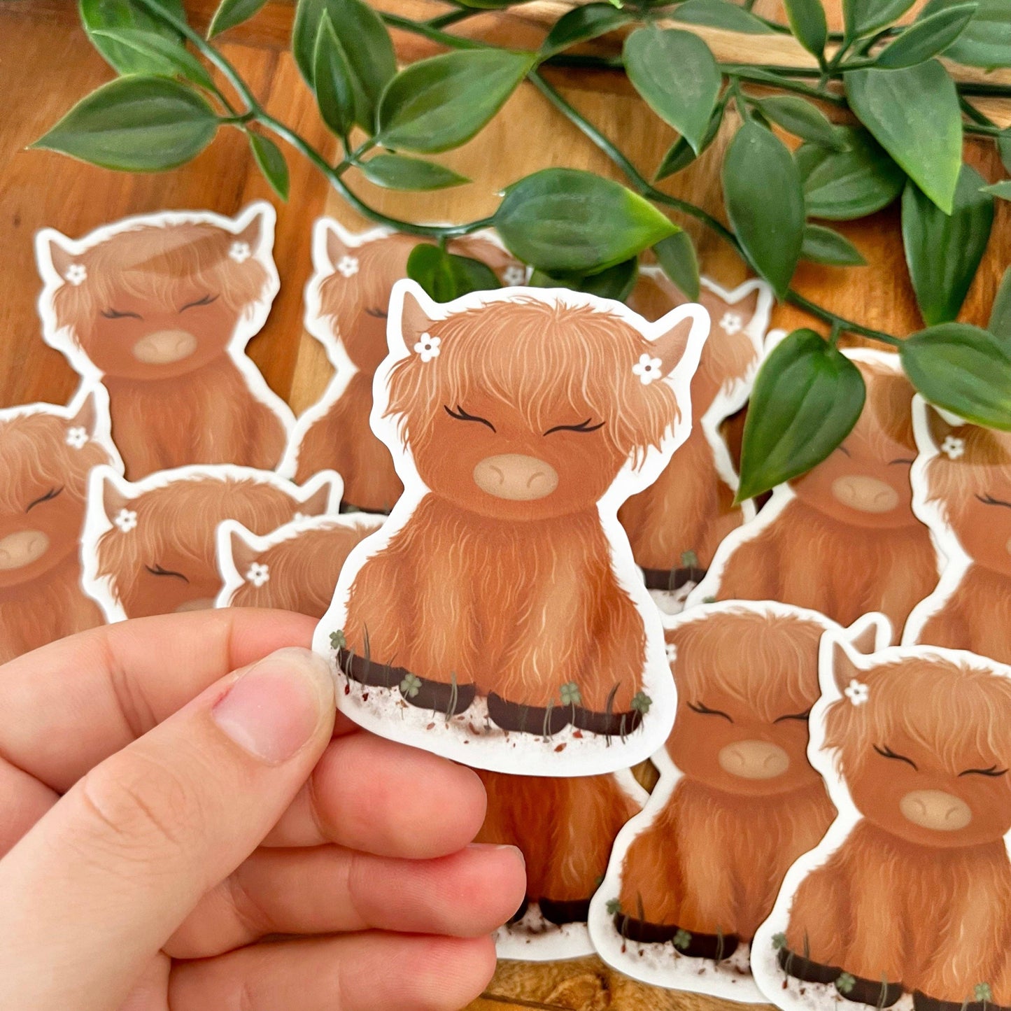 Highland Cow Vinyl Sticker