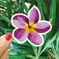 Purple Plumeria Vinyl Sticker